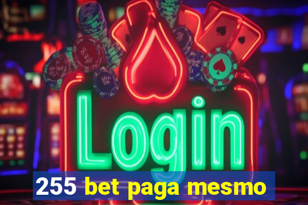 255 bet paga mesmo