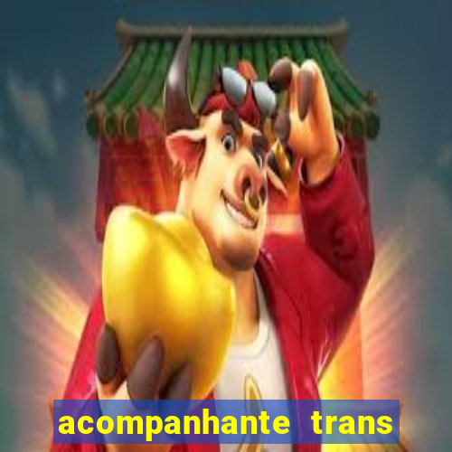 acompanhante trans de santos