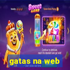 gatas na web