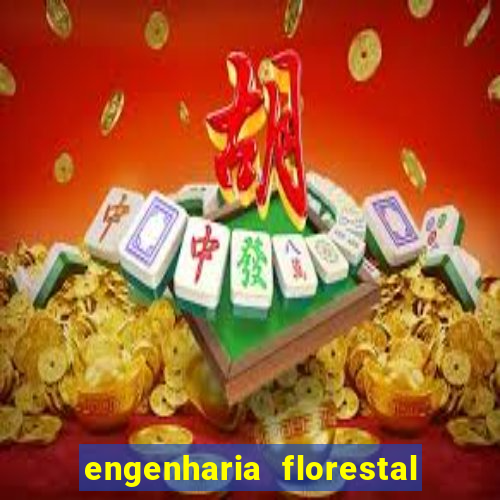 engenharia florestal ead cruzeiro do sul