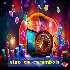 vino de carambola stardew valley