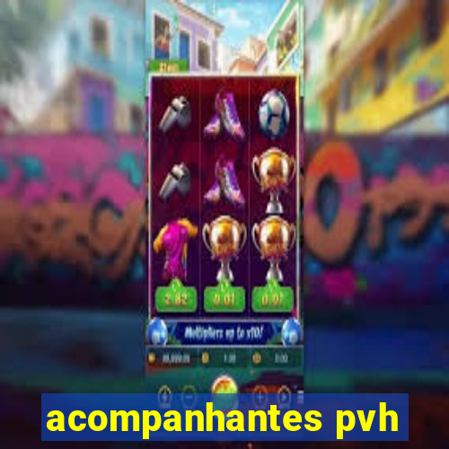 acompanhantes pvh