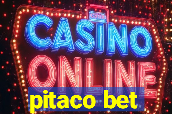 pitaco bet