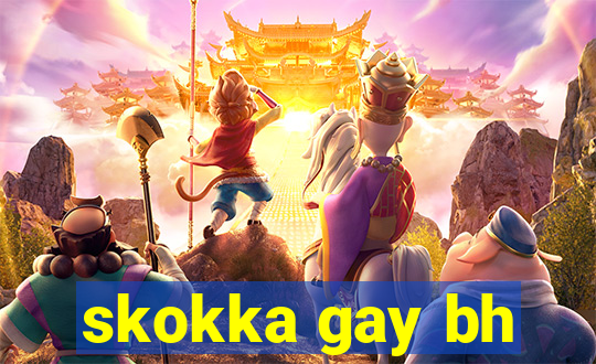 skokka gay bh