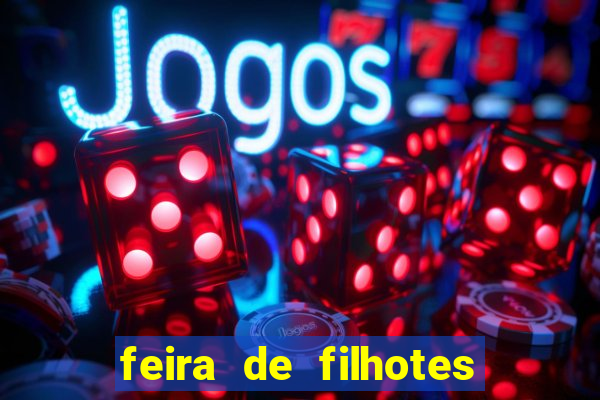 feira de filhotes porto alegre