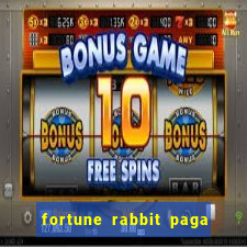 fortune rabbit paga mesmo Informational