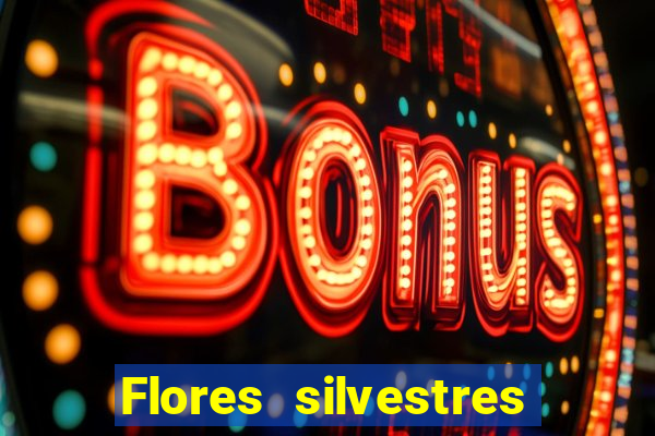 Flores silvestres brasileiras 25