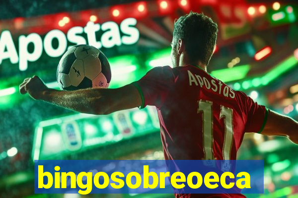 bingosobreoeca