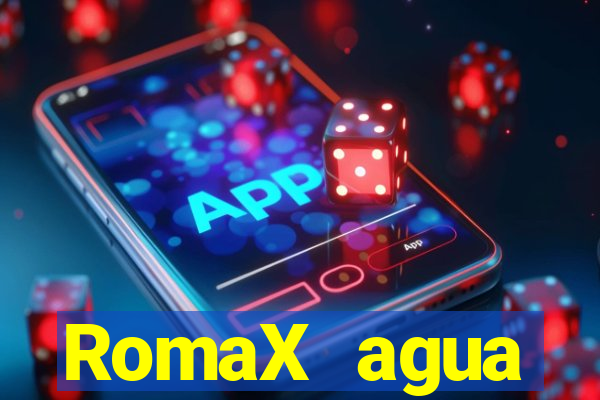 RomaX agua sanitaria fispq agua sanitaria romax