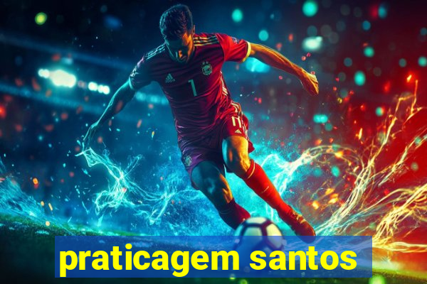 praticagem santos