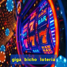 giga bicho loteria dos sonhos