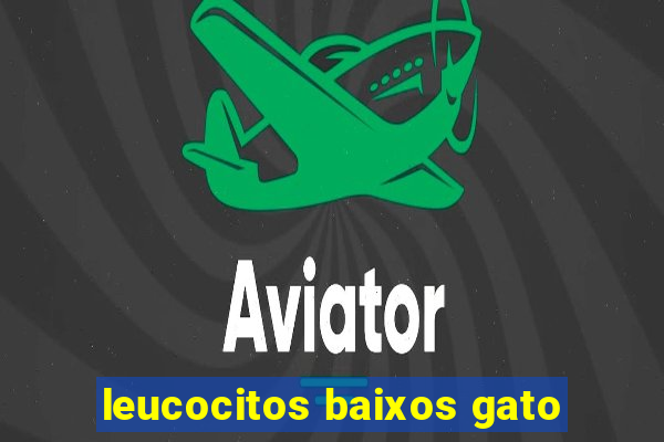 leucocitos baixos gato